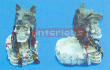 WOLF HEAD SMOKE CROCK Exporter & Educational Laboratory Equi