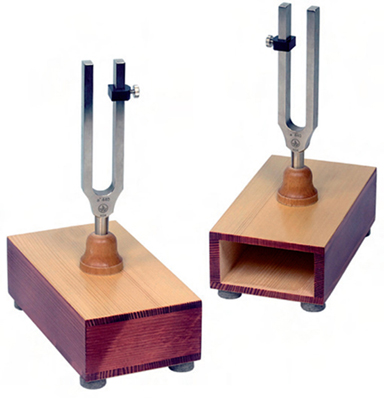 Pair of LA3 Tuning Forks Exporter & Physics Laboratory Equip