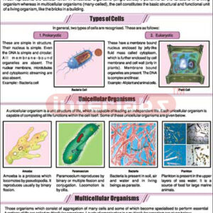 The Cell Theory