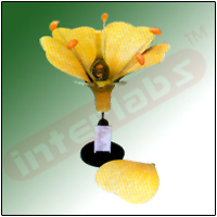 TYPICAL FLOWER Exporter & Educational Laboratory Equipment S