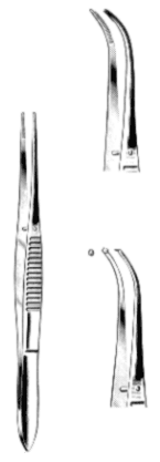 Heifetz Forceps Exporter & Educational Laboratory Equipment