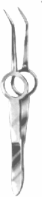 Shaaf Forceps Exporter & Educational Laboratory Equipment Su