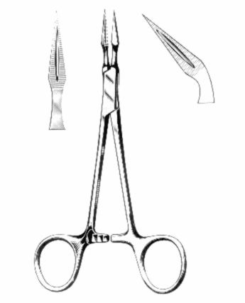 Stieglitz Forceps Exporter & Educational Laboratory Equipmen