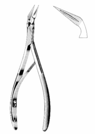 Ralk Forceps Exporter & Educational Laboratory Equipment Sup
