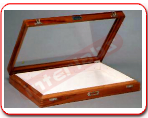 INSECT SETTING SHOWCASE Exporter & Physics Laboratory Equipm