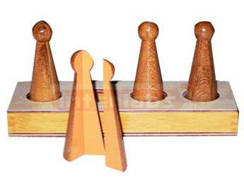 Fractions Skittles Exporter & Educational Laboratory Equipme
