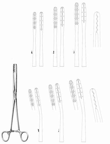 Lister Forceps Exporter & Educational Laboratory Equipment S