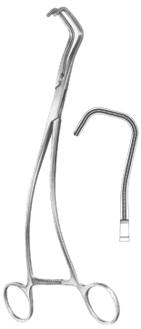Finocchietto Forceps Exporter & Educational Laboratory Equip