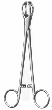 Lane Forceps Exporter & Educational Laboratory Equipment Sup