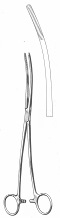 Bozemann- Forceps Exporter & Educational Laboratory Equipmen