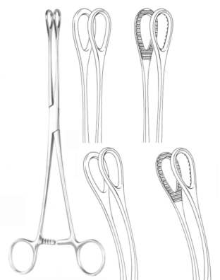Foerster Forceps Exporter & Educational Laboratory Equipment