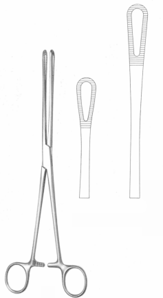 Rampley Forceps Exporter & Educational Laboratory Equipment