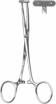 Martel Forceps Exporter & Educational Laboratory Equipment S